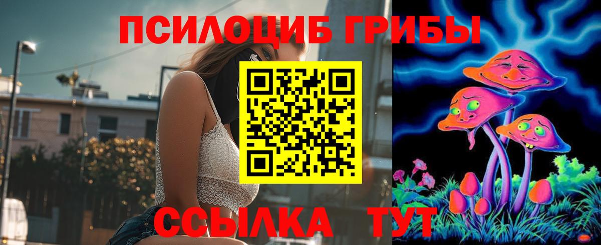 Озёрск  Псилоцибиновые грибы мухоморы  Вход с VPN 